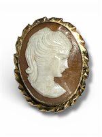 Brosche Mandile 1922 Dame Cammei  in Silber Conchiglia 2MSPCM16